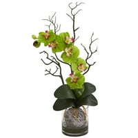 Szinte természetes phalaenopsis Orchid mesterséges elrendezés vázában