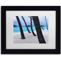 Beach Palms Maldív -szigetek Canvas Art készítette: David Evans, fehér matt, fekete keret