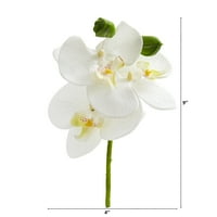 Szinte természetes 9in. Falaenopsis orchidea mesterséges virágválaszték