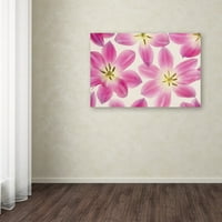 Védjegy Szépművészet 'Cerise Pink Tulips' vászon művészet, Cora Niele