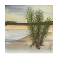 Védjegy Szépművészet 'Sivatag Yucca' vászon művészete: Chris Paschke