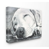 Stupell Industries álmos kutya kedvtelésből tartott állati akvarell festés Super Canvas Wall Art készítette: George Dyachenko