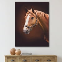 Designart 'Bezáró barna ló portré fehér orrral ii' parasztház vászon fali művészet