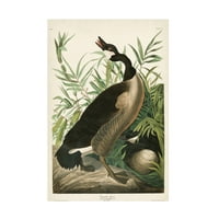 John James Audubon 'Canada Goose' vászon művészet