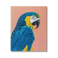 Stupell Industries merész papagáj vadon élő állatok portré festmény galéria csomagolt vászon nyomtatott fali művészet, tervezés: