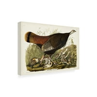 John James Audubon 'Great Hen and Young' vászon művészet