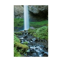 Tim Oldfor védjegye az Oregon Waterfall 'vászon művészete