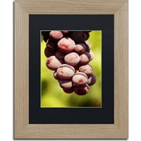 Védjegy Szépművészet Homegrown szőlő Canvas Art készítette: Jason Shaffer, Black Matte, Birch Frame