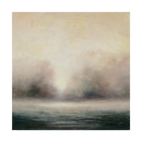 Védjegy képzőművészet 'Waters Edge Fog' vászon művészet Julia Purinton