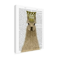 Fab Funky 'llama queen könyvnyomtatás' vászon művészet