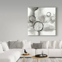 Védjegy Képzőművészet 'Teljes Circle I Grey' vászon művészete: Chris Paschke