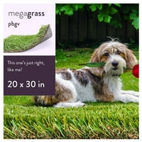 MegaGrass PBGV mesterséges fűben közepes kedvtelésből tartott kutya beltéri beltéri szőnyeg szőnyeg