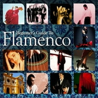 Kezdő útmutató a Flamenco különféle