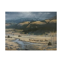 Védjegy Szépművészet 'Big Valley Elk' vászon művészete: Wilhelm Goebel