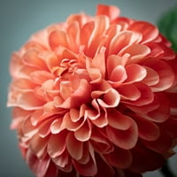 29,5 H Sullivans Mauve Dahlia virág szár, rózsaszín