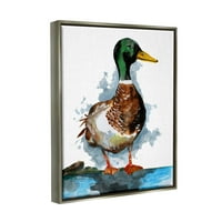 Mallard Duck Water's Edge állatok és rovarok Grafikus Art Luster szürke keretes művészet nyomtatott fali művészet